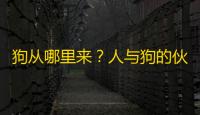 狗从哪里来？人与狗的伙伴关系又是如何建立起来的？
